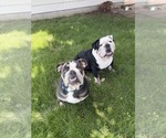 Image preview for Ad Listing. Nickname: Sarge
