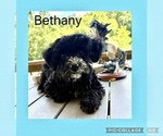 Image preview for Ad Listing. Nickname: Bethany