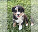 Image preview for Ad Listing. Nickname: Meadow
