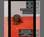 Image preview for Ad Listing. Nickname: Stan