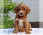 Image preview for Ad Listing. Nickname: Harrison