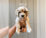 Image preview for Ad Listing. Nickname: Isla