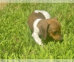 Image preview for Ad Listing. Nickname: Tank