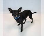 Small #1 Jack Chi