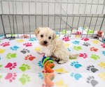 Image preview for Ad Listing. Nickname: Hunter