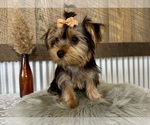 Image preview for Ad Listing. Nickname: Ellie