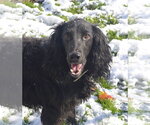 Small #1 Breeder Profile image
