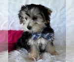 Image preview for Ad Listing. Nickname: LUKE