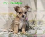 Image preview for Ad Listing. Nickname: Freedom