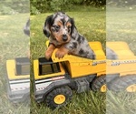 Image preview for Ad Listing. Nickname: Tanner