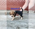 Image preview for Ad Listing. Nickname: Female 6