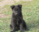 Image preview for Ad Listing. Nickname: black female