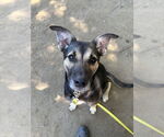 Small #32 Mutt