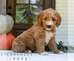 Image preview for Ad Listing. Nickname: Casper