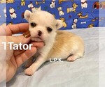 Image preview for Ad Listing. Nickname: Tiny Tator male