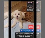 Image preview for Ad Listing. Nickname: Ulla