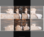 Puppy Ms Brown Golden Retriever