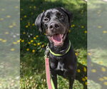 Small #2 Breeder Profile image