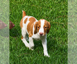 Image preview for Ad Listing. Nickname: Teela