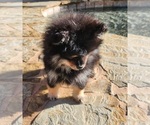 Image preview for Ad Listing. Nickname: SS