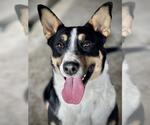 Small #1 Breeder Profile image