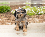 Image preview for Ad Listing. Nickname: Maddie