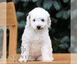 Image preview for Ad Listing. Nickname: Cream