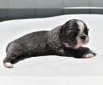 Image preview for Ad Listing. Nickname: Darla