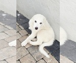 Image preview for Ad Listing. Nickname: Tilly