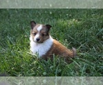 Image preview for Ad Listing. Nickname: Little Creek