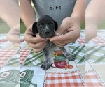  - Photo #2