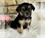 Image preview for Ad Listing. Nickname: ASHLEY