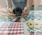  - Photo #2