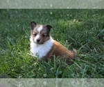 Image preview for Ad Listing. Nickname: Little Creek