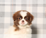 Image preview for Ad Listing. Nickname: Tyler