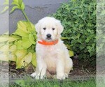 Image preview for Ad Listing. Nickname: Lyle