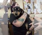 Small Mutt