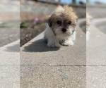 Image preview for Ad Listing. Nickname: Felix