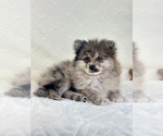 Image preview for Ad Listing. Nickname: Paris