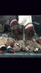 Small Photo #5 German Shorthaired Pointer Puppy For Sale in PRINEVILLE, OR, USA
