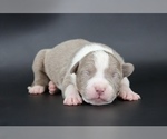 Image preview for Ad Listing. Nickname: Atalanta