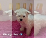 Image preview for Ad Listing. Nickname: Boy 2