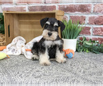 Image preview for Ad Listing. Nickname: Jeremy