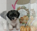 Image preview for Ad Listing. Nickname: Lily