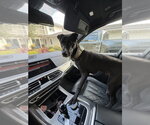 Small Photo #2 Borador Puppy For Sale in Dana Point, CA, USA