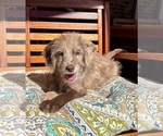 Image preview for Ad Listing. Nickname: Lilly