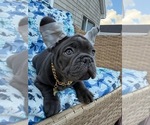 Image preview for Ad Listing. Nickname: Boy 1