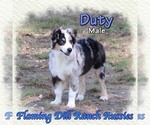 Image preview for Ad Listing. Nickname: Duty