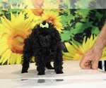 Image preview for Ad Listing. Nickname: Melina