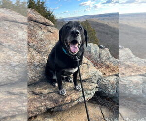 Main image of advertise